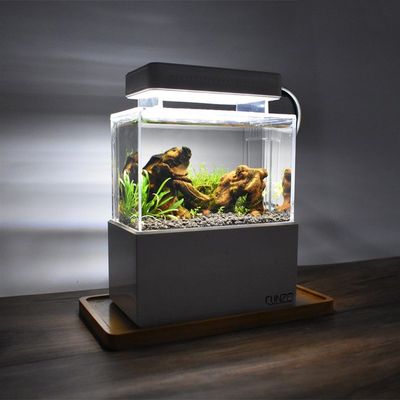 推荐Mini Betta Fish Tank Desktop Marine Aquaponic Aquarium F