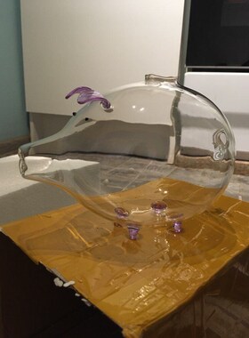 Green Brown Pink Blue Cat Pig Piggy Bank Money Box Coin Savi