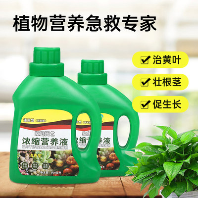 绿萝营养液植物通用型花肥家用盆栽养花绿植肥料通用水培花卉花草