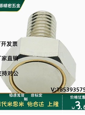 BML01 BML02 BML06 BML11 BML21 31-M3/M4/M5/M6/M8/M10 带座磁铁