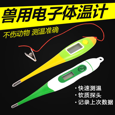 兽用电子体温计温度计养殖猪牛羊用肛门体温计Q肛温计动物用体温