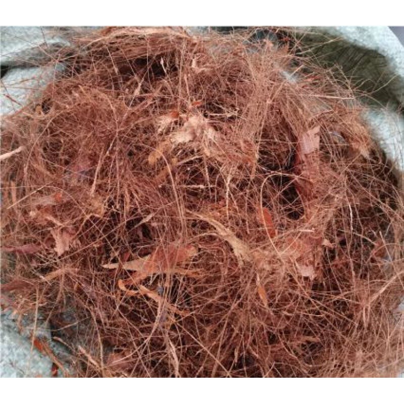 热销中棕丝 棕榈丝 山填丝 鬃毛 山棕片棕树皮棕床垫棕充垫棕物拂