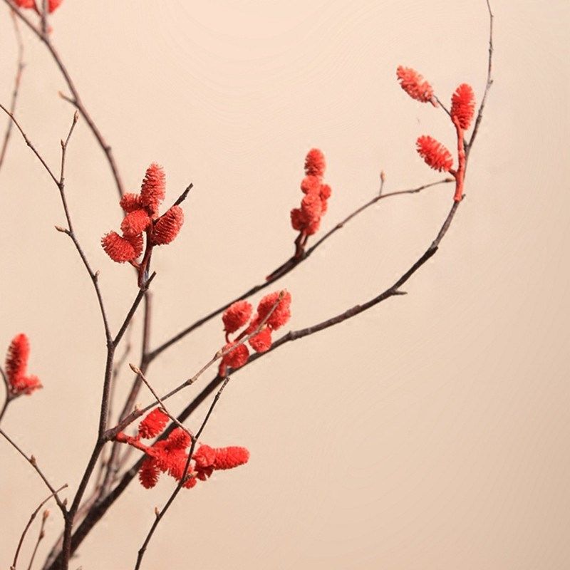 诺饰品山捻枝枯树枝装饰干支装饰花干花干树枝插花家居软装凡枫拓,家居饰品,仿真花/假花,淘宝优惠券,粉丝福利购,淘宝优惠卷