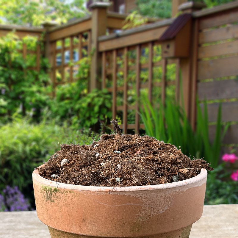木兰花漫通用营养土 绣球月季铁线莲草花蔬菜种球粗颗粒介质现货