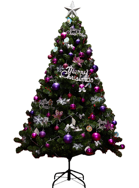 促销耶诞树d加密家用121518米套餐DIY耶诞节装饰品环保耶诞树发光