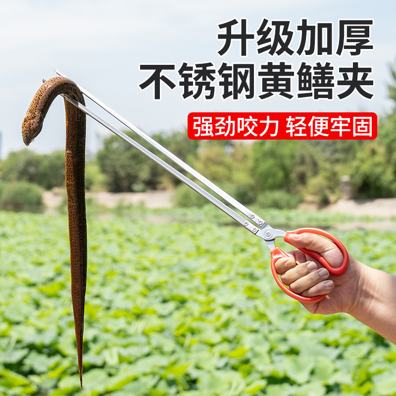热销黄鳝夹子不锈钢鳝鱼专用夹神器夹泥鳅钳子抓龙虾螃蟹防滑赶海