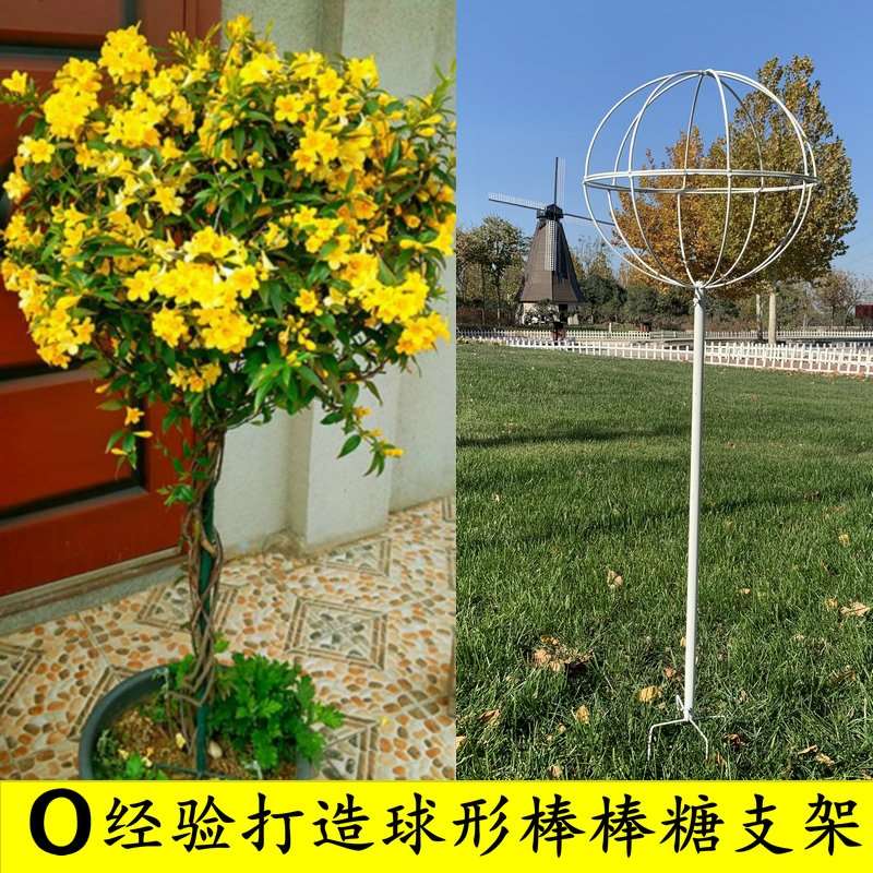 小众高货铁线莲风车茉莉月季棒棒糖支架铁艺球形花园花架爬藤架子