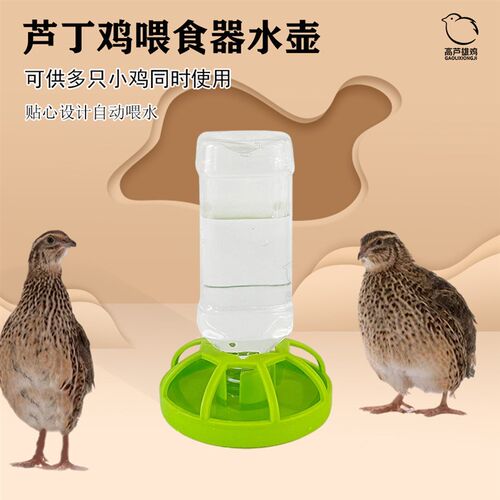 热销芦丁鸡喂水器小鸡喝水饮水器芦丁鸡喂食器水壶芦丁鸡鹌鹑自动
