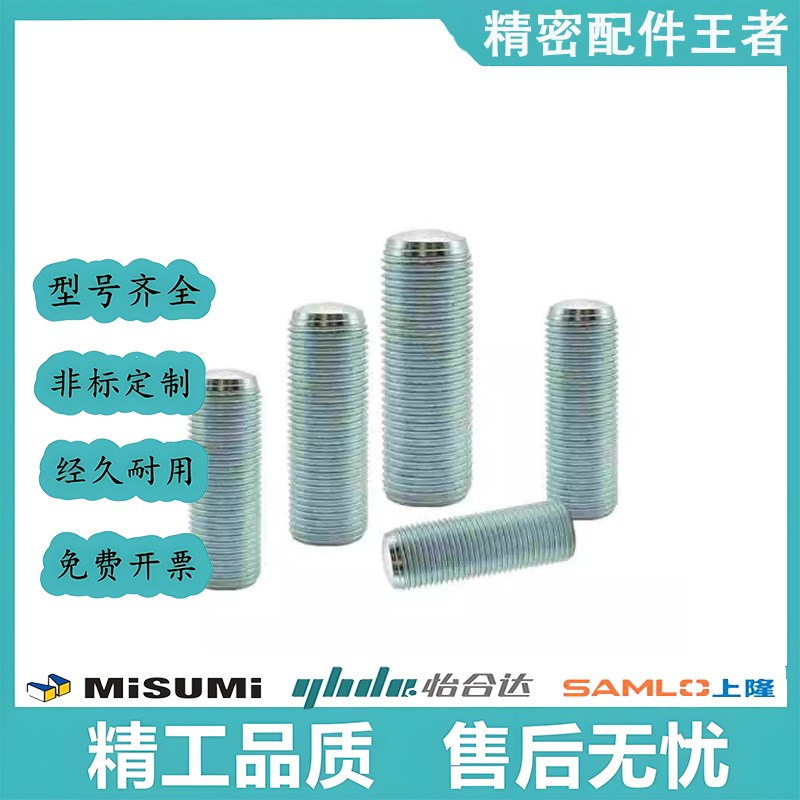 ANB3 4 5 6 8 10 12 16 20内六角孔型调整螺栓 细牙型PAS12/TBD21