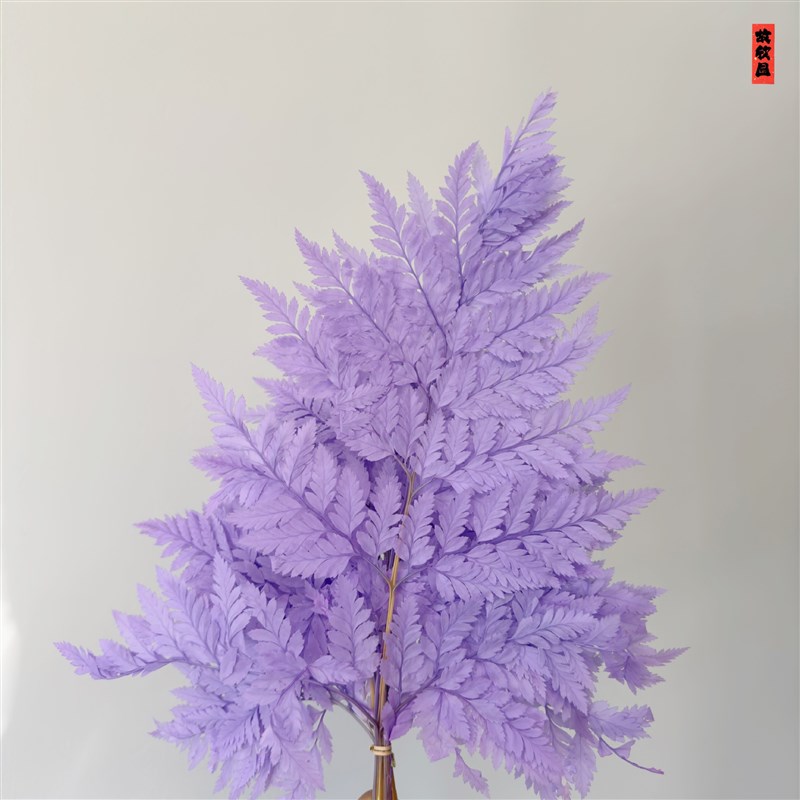 小众高货永生高山羊齿厂家金色高山羊齿叶永生花干花花束婚礼装饰
