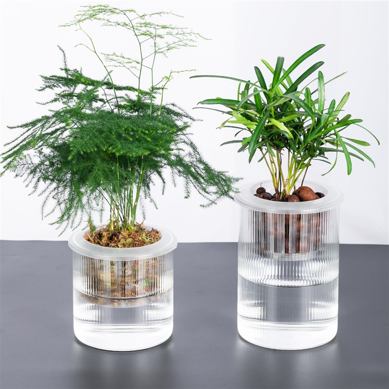速发懒人花盆植物水培玻璃瓶子透明直筒家用简约圆柱花瓶绿萝水养