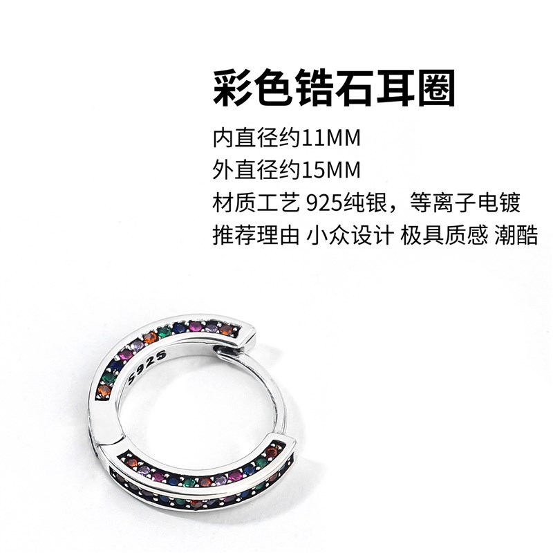 工厂销925银耳环男潮高t级感锆石耳圈嘻哈独特耳钉痞帅个性欧美男