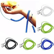 Training 极速Extensiontype Parrot Leash Flying Rope Bird