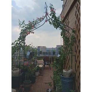 爬庭院花包铁拱形葡萄门蔷薇邮花架藤户外攀爬月季 爬支架藤架艺