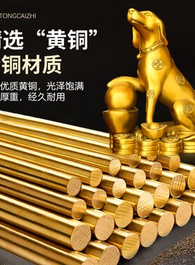 铜金钱狗摆件生肖狗守家纯铜元宝狗补西北角家居店铺办公室装饰品