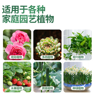 速发营养液植物通用型花肥家用盆栽发财树富贵竹绿萝水培花卉绿植