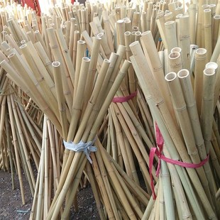 竹子院墙棍子大全2米长碳化竹竿支架登山杖竹竿舞专用支撑杆