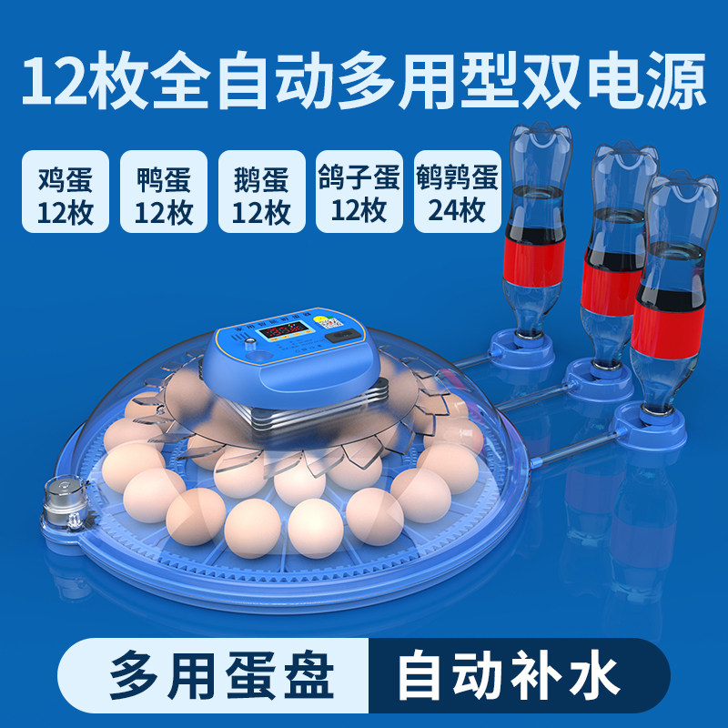 孵化机全自动小型芦丁鸡孵化器12枚微型孵蛋器鸟鸽子鸡鸭鹅孵化&r