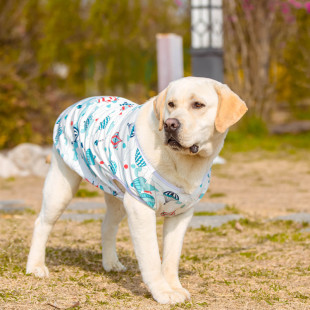 衣服背心柯基柴犬哈士奇边境牧羊犬金毛拉布拉多 大型犬狗狗冬g季