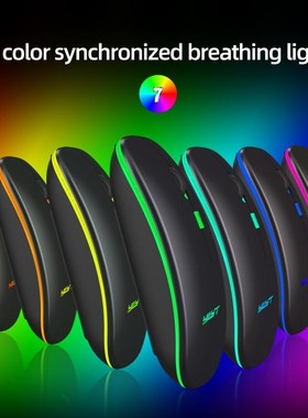 Bluetooth 5.1 Dual Mode Charging Wireless Mouse Silent 2.4G