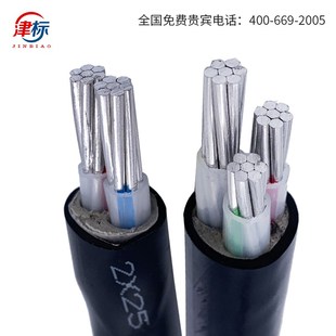 70平X铝芯电缆线 铝线16 35国标电线 50铝电缆线31204芯95 方