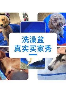 。狗狗游泳池洗澡盆可折叠大型犬金毛宠物用品游泳池浴缸洗澡桶洗