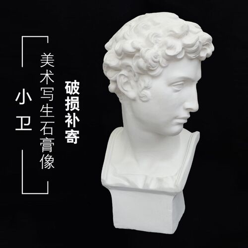 小卫石膏头像 朱利亚诺德梅第奇 z美术石膏教具 人物石膏头像H63C