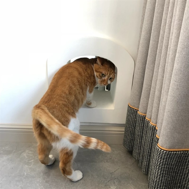 猫咪门洞定制拱形异性门宠物门猫墙洞进出自由洞R口狗洞猫洞门定