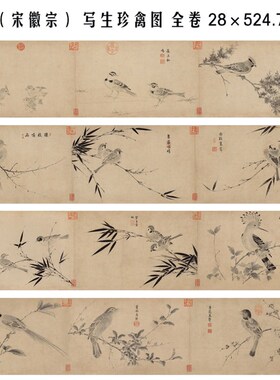 赵佶(宋徽宗) 写生珍禽图 全卷 28×524.7 国画画心装饰画 高清