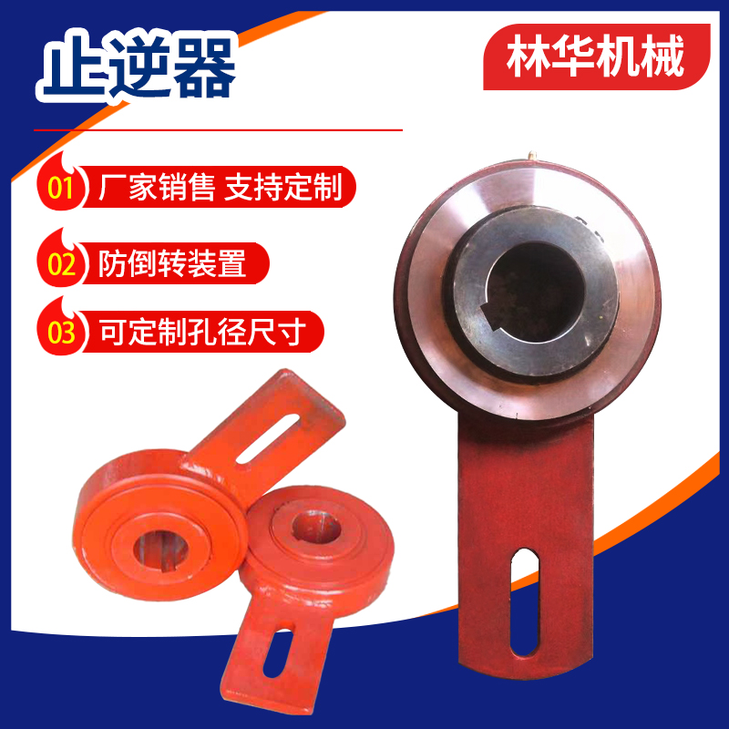提升机止逆器防倒转装置逆止器输送设备配件可定制内孔径尺寸