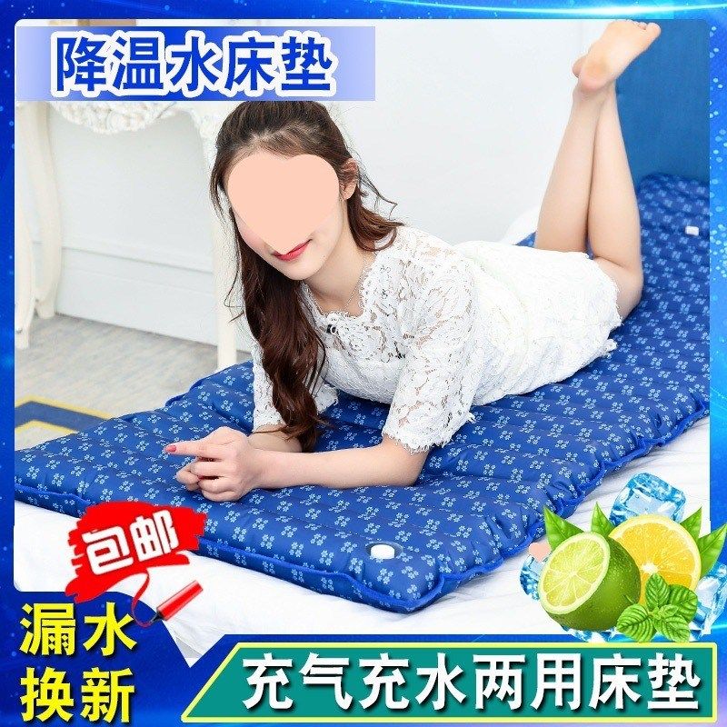 冰垫水床垫单人宿舍学生水垫水席双人水床家用夏季降温冰床垫