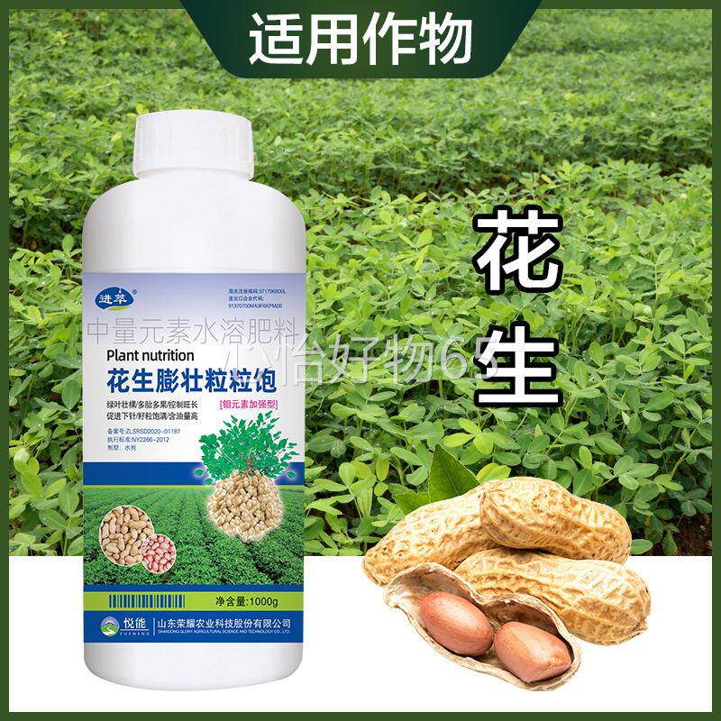 花生膨大粒粒饱满叶面肥增产增收c高产种壮花生分叉下针剂澎彭种