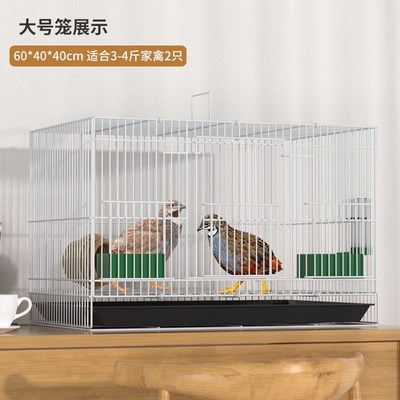 鹌鹑专用笼鹌鹑笼小型笼方笼家用养殖鹌鹑笼下蛋笼自动滚蛋鸟笼子