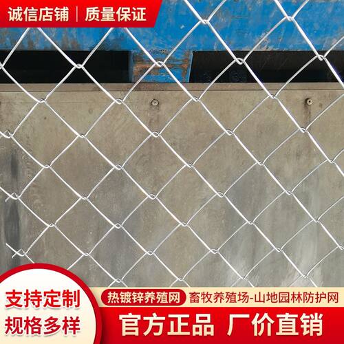 热镀锌养殖铁丝网围栏网钢丝网防护网菱形勾花网拦鸡鸭鹅牛羊户外