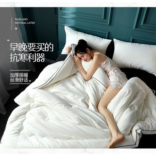加厚大豆蛋白纤维被子春秋被芯学生宿舍棉被双人家用节日礼品 冬季