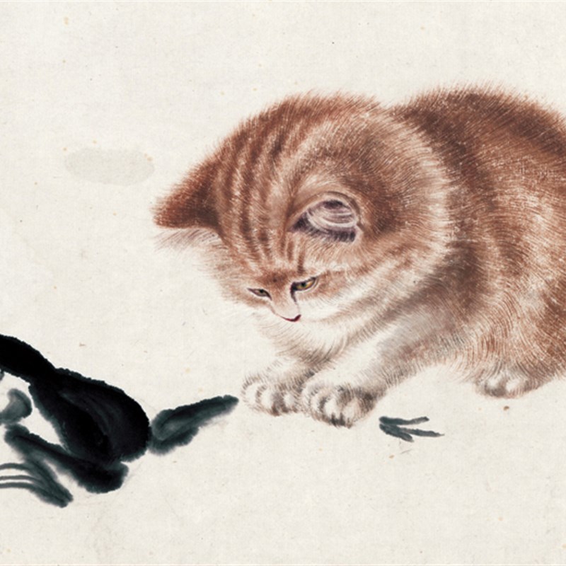 齐白石 猫趣图 画心宣纸国画装饰画名人字画高仿高清微喷复制打印