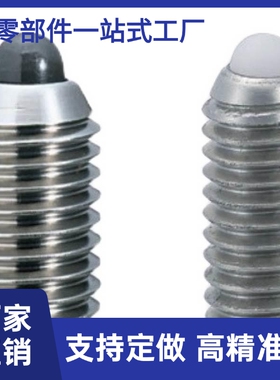 短型不锈钢弹簧柱塞ZAP56/57-MB3/4/5/6/8/10/12/16