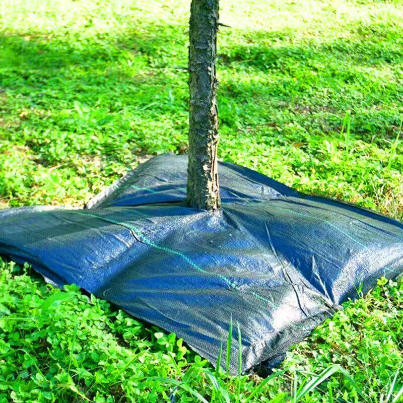 黑绿色防草布除草布农用果园树苗加厚地膜打孔切片遮盖草地布厂家
