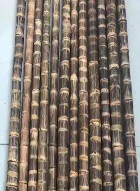 现货实心玉竹手杖龙血金丝竹密节C纯手工打磨竹棍鞭杆教鞭炮台抄