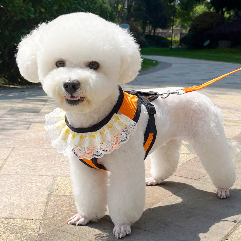 现货狗狗牵c引绳小型犬狗绳子胸背带比熊泰迪可爱网红遛狗牵引绳