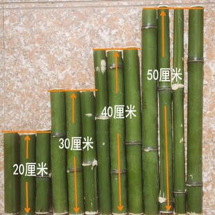 新鲜竹段竹节竹棒小竹子婚庆花艺装饰园林支架果园支撑大小短竹筒