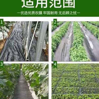 爆品厂促抗e老化防草布除草布农用用园园艺地布盖草耐布地钉地果