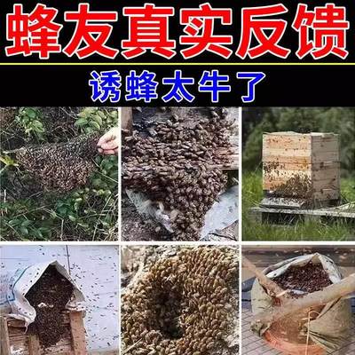 诱引用神器蜂蜡诱蜜蜂野外膏中土蜂新手养蜂专用工具神奇招蜂蜂水