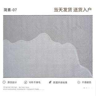 宇秀b 新品 地毯客厅现代极q简灰色轻奢高级耐脏茶几毯满铺好打理