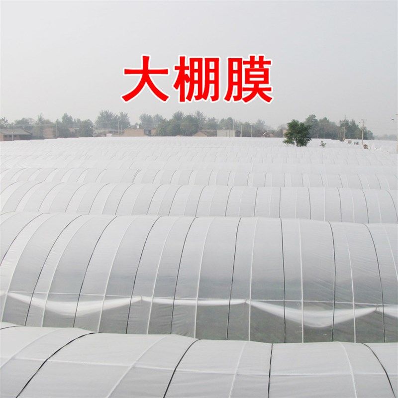 白色塑料薄膜透明加厚大棚膜养殖膜塑料布塑料纸农膜地膜农用整卷,农机/农具/农膜,农用薄膜,淘宝优惠券,粉丝福利购,淘宝优惠卷