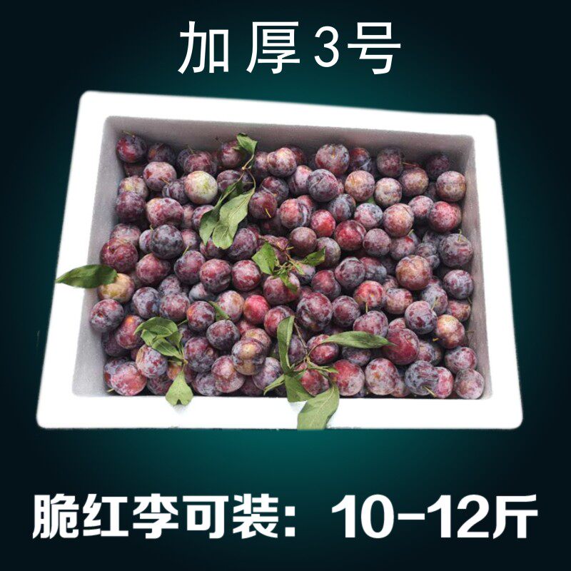 速发邮政2.3.4.5.6号泡沫箱种菜水果牛肉羊肉冷冻保温保鲜加厚快