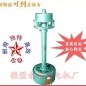 小型1000W轴流式 水力发电x机1kw水流发电机0.1水轮发电机