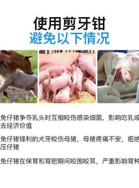 牙剪子兽医断牙剪猪牙钳子牙剪仔猪剪刀猪崽神器省时畜牧剪牙钳