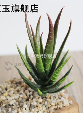 Artificial flower plastic plant fake aloe vera family garden