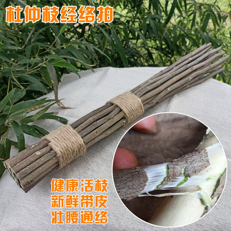 速发桑枝棒经络拍壮腰通络拍打棒天然健康新鲜带皮按摩敲打养生棒
